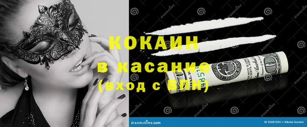 гидра Алексин