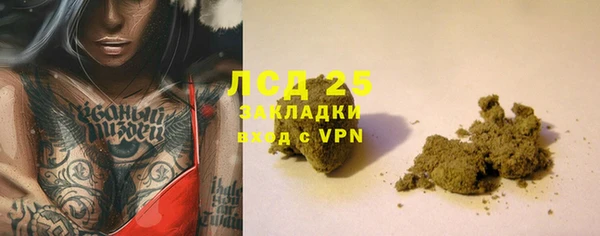ГАЛЛЮЦИНОГЕННЫЕ ГРИБЫ Алзамай