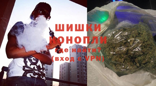 ГАЛЛЮЦИНОГЕННЫЕ ГРИБЫ Алзамай