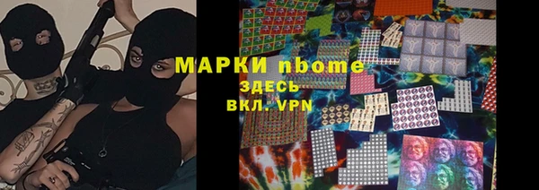 гидра Алексин