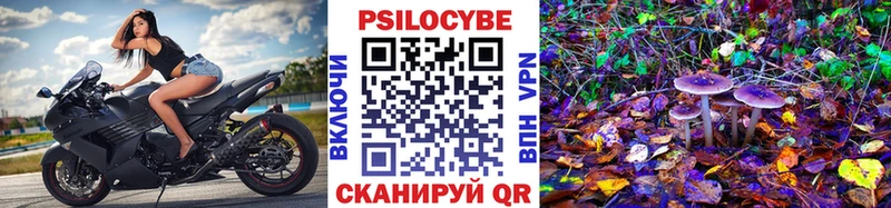 Псилоцибиновые грибы прущие грибы  Дзержинский 