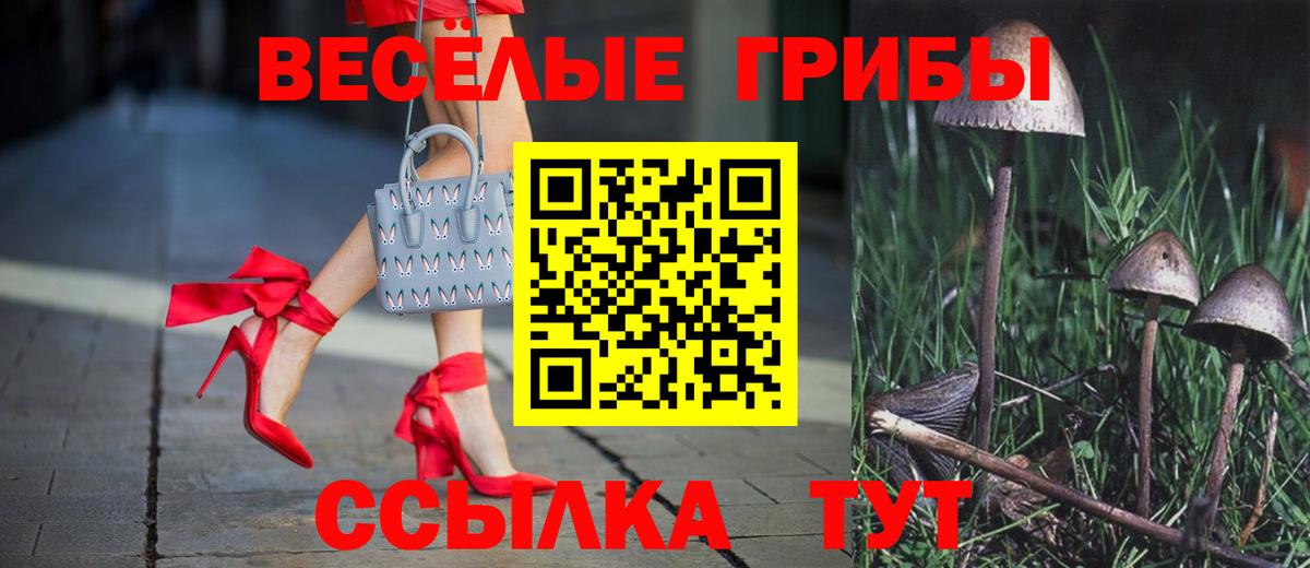 Псилоцибиновые грибы мицелий Дзержинский